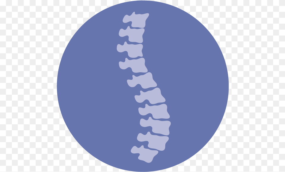 Spinal Cord Injury Icon, Astronomy, Moon, Nature, Night Free Transparent Png