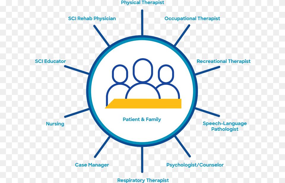 Spinal Cord Injury Physicians Diagram Png Image