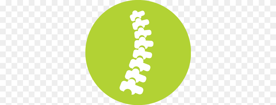 Spinal Cord Surgery, Disk Png Image