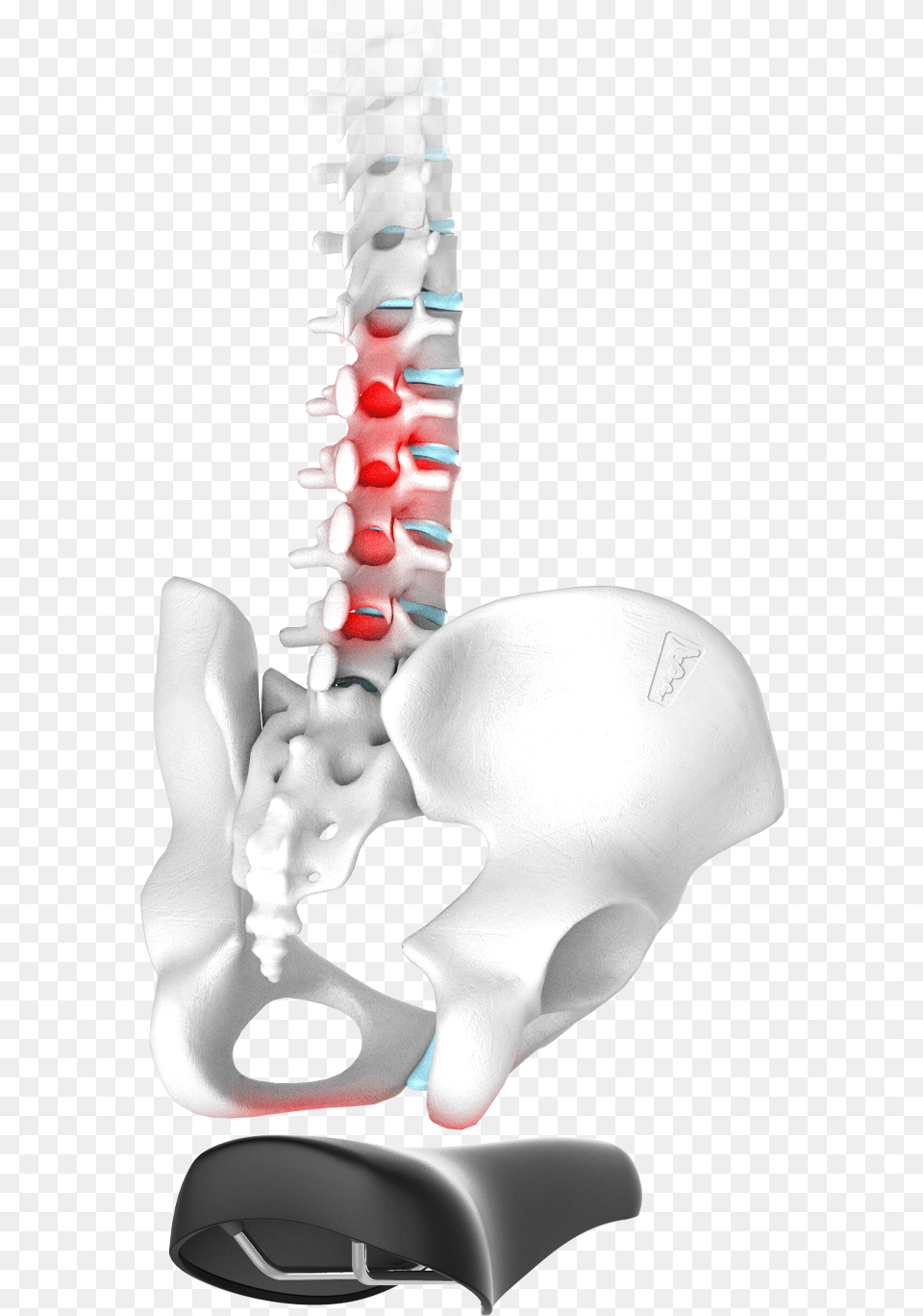 Spinal Disc Problems X Ray, Baby, Person, Face, Head Free Transparent Png