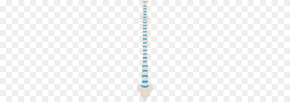 Spine Dynamite, Weapon Free Transparent Png