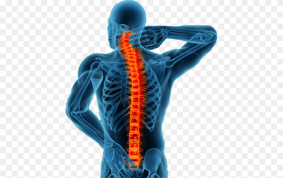 Spine Back Jpg Black And White Library Spine Hd, Adult, Female, Person, Woman Free Png Download