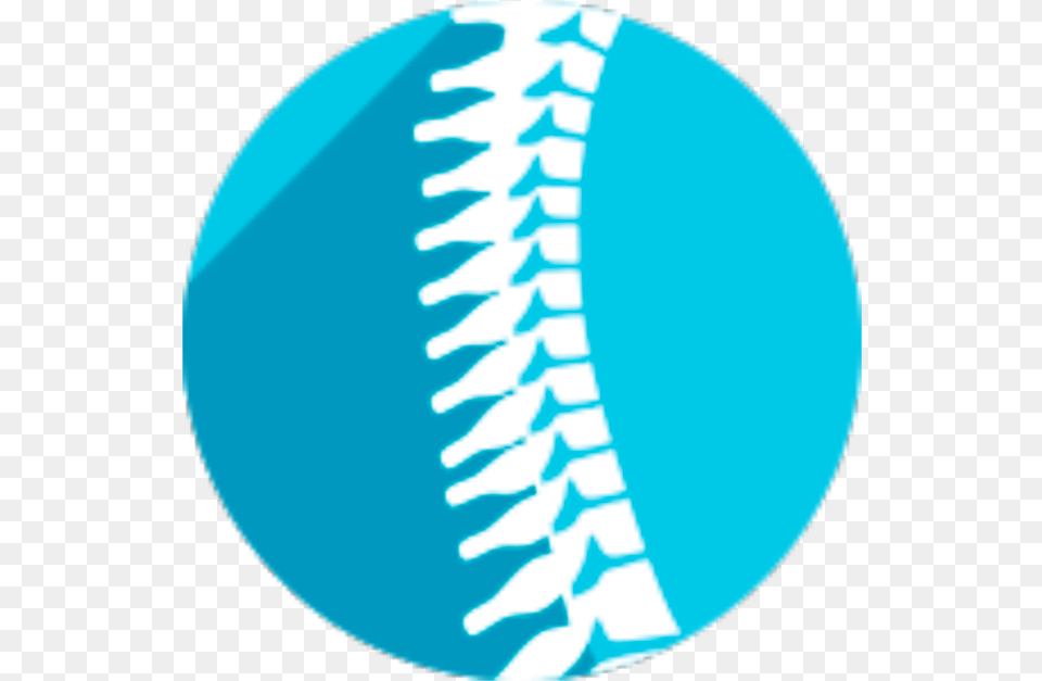 Spine Circle, Disk, Ct Scan Png Image