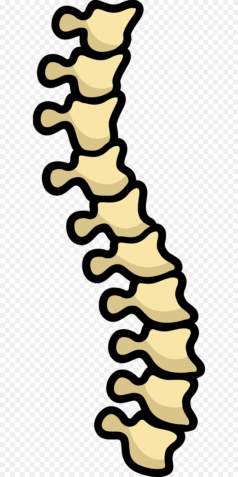 Spine Clipart Free Png Download