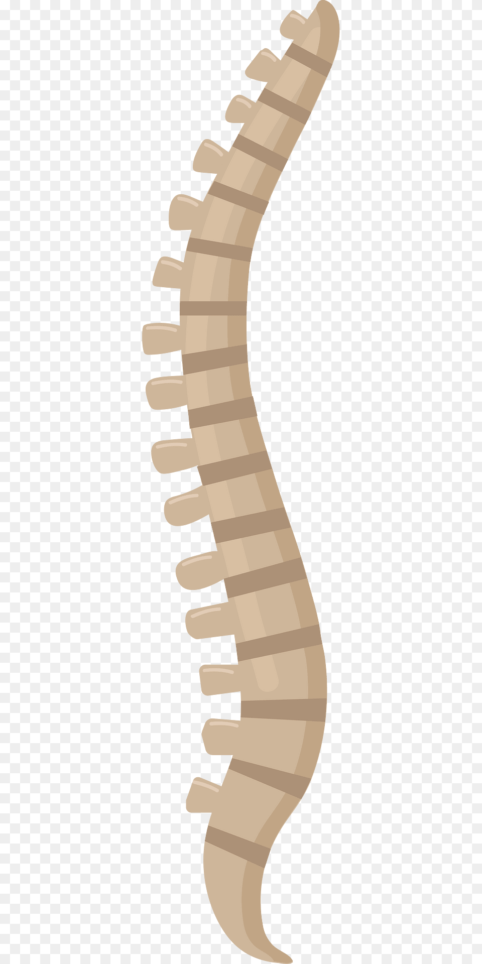 Spine Clipart, Architecture, Building, House, Housing Free Png