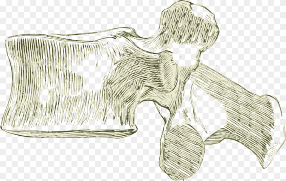 Spine Drawing Lumbar, Person, Art Png Image