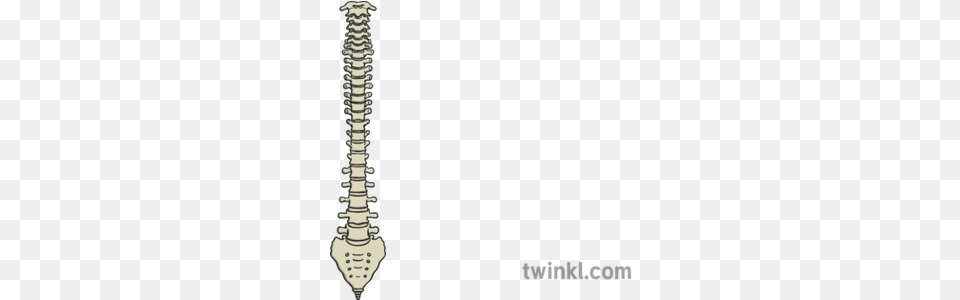 Spine Illustration Sword Free Png Download