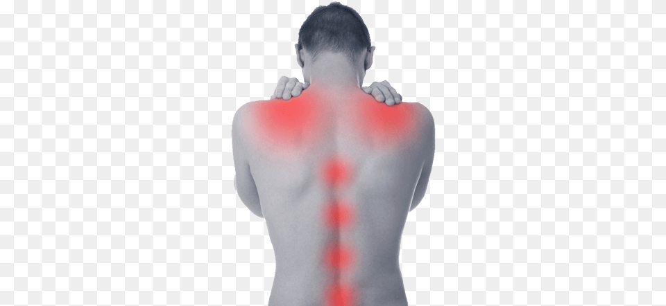 Spine Scan Chiropractic Clinic Perth Can Accurately Shoulder Pain, Back, Body Part, Face, Head Png Image