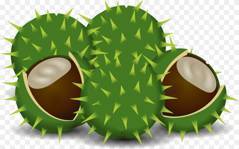 Spines And Prickles Durian, Green, Food, Nut, Plant Png Image