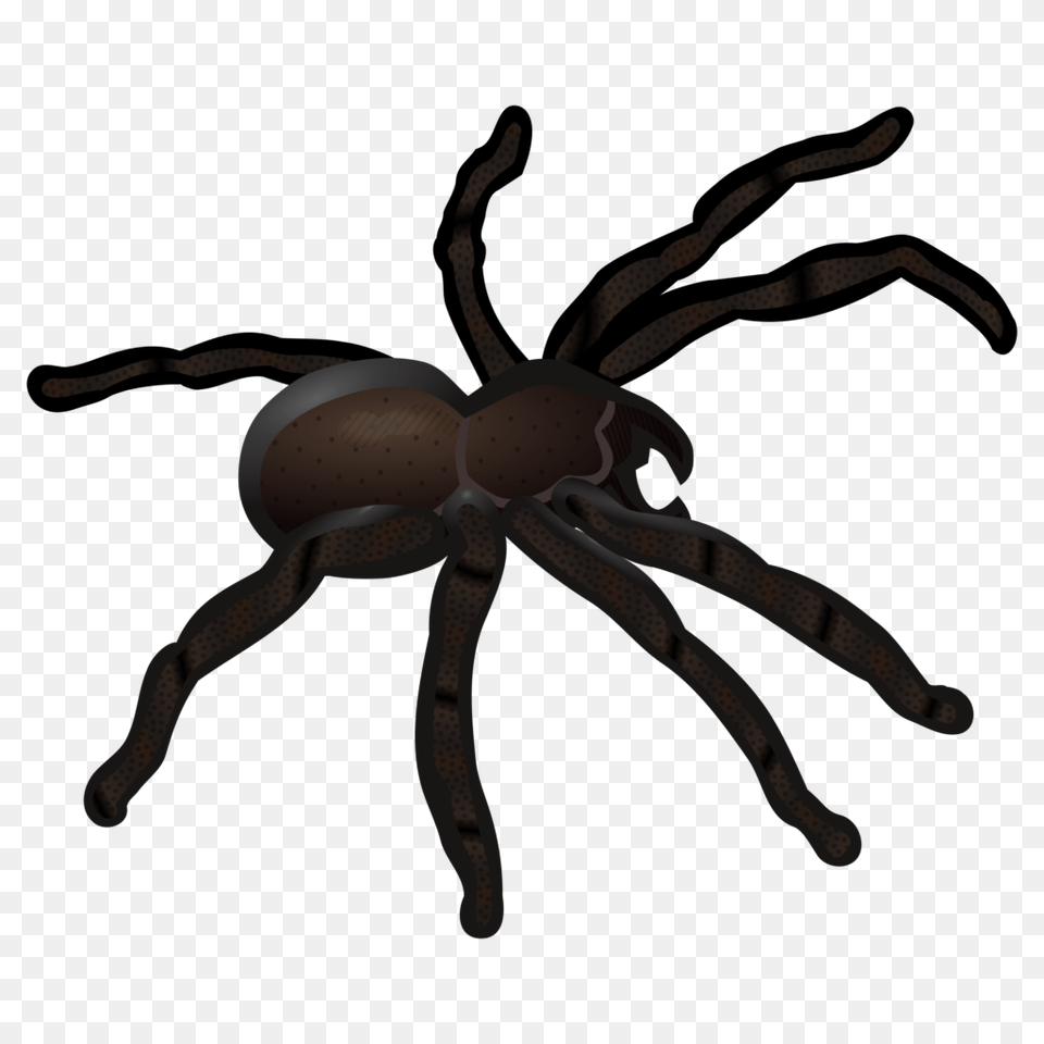 Spinne Coloured Clip Art Spider, Animal, Invertebrate, Bow, Weapon Free Png
