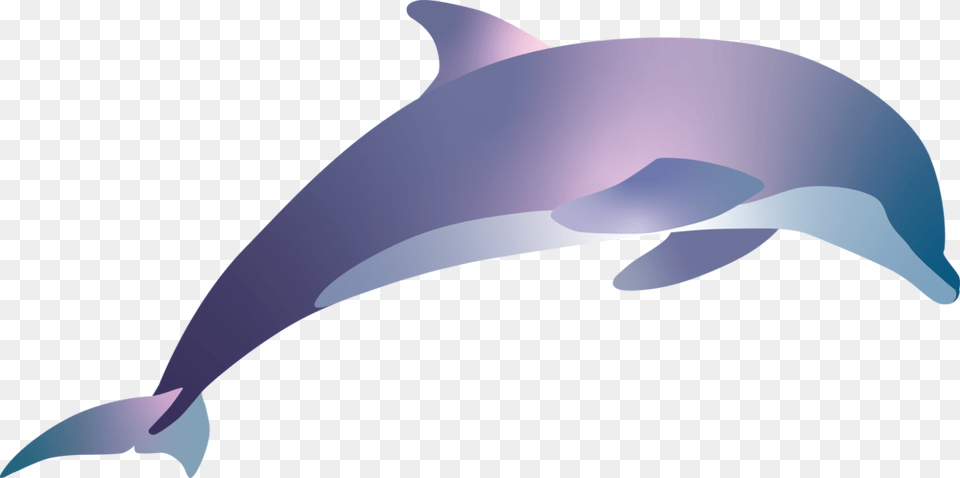 Spinner Dolphin, Animal, Mammal, Sea Life, Fish Free Png Download