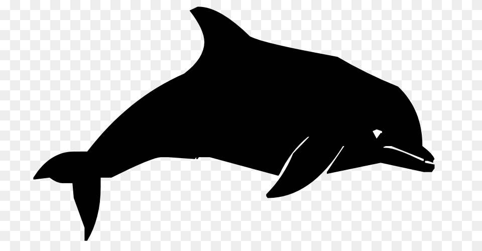 Spinner Dolphin Clipart Black And White, Gray Png Image