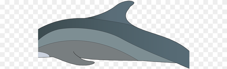 Spinner Dolphin Clipart Miami Dolphin Logo Wholphin, Animal, Mammal, Sea Life, Appliance Png