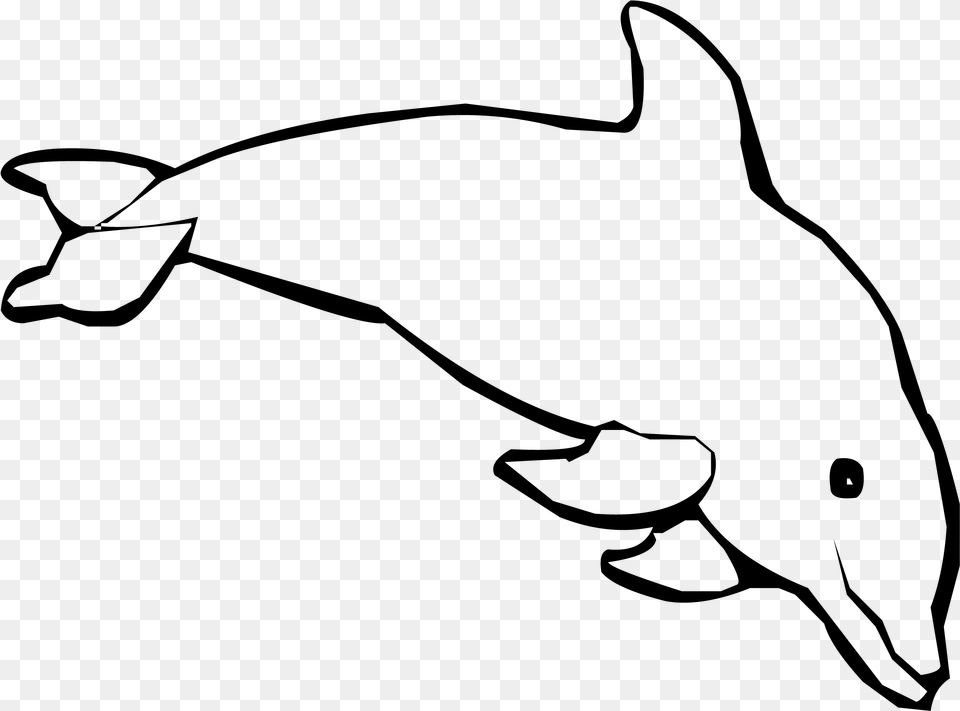 Spinner Dolphin Coloring Book Coloring Pages Of Real Dolphin, Gray Free Png Download