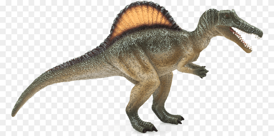 Spinosaurus, Animal, Dinosaur, Reptile, T-rex Png Image