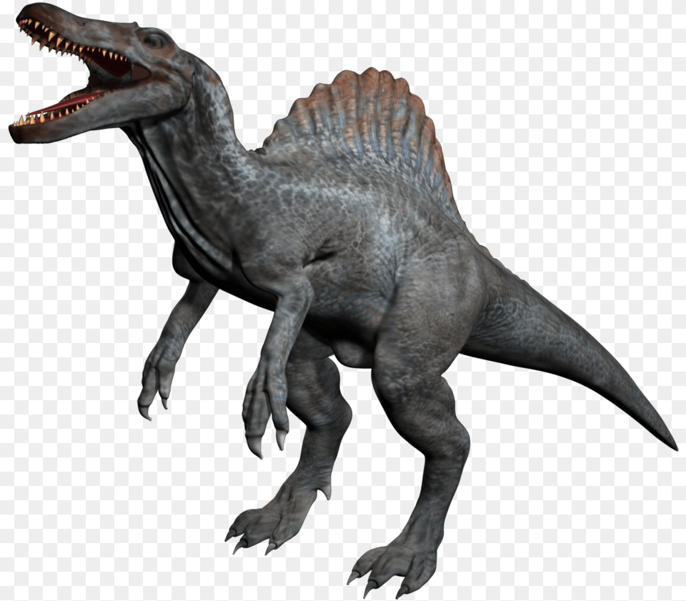 Spinosaurus Animal Allosaurus Kentrosaurus Stegosaurus, Dinosaur, Reptile, T-rex Free Transparent Png
