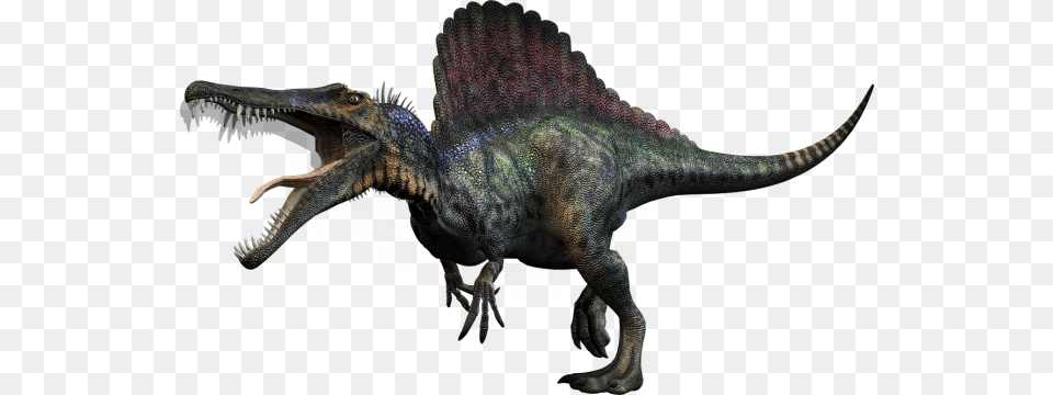 Spinosaurus Animals Dinosaur Reptile T Rex Spinosaurus Dinosaurs, Animal, T-rex Free Transparent Png