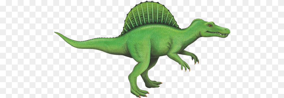 Spinosaurus Dinosaur, Animal, Reptile, T-rex Png