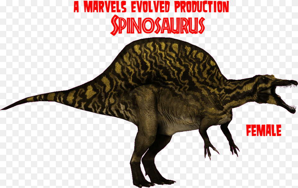 Spinosaurus F Zoo Tycoon 2 Cretaceous Calamity Spinosaurus, Animal, Dinosaur, Reptile, T-rex Free Png Download