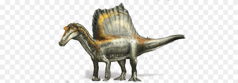Spinosaurus Four Legs New Spinosaurus, Animal, Dinosaur, Reptile, T-rex Free Transparent Png