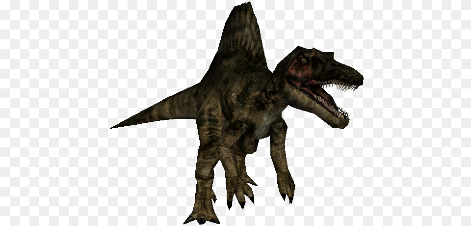 Spinosaurus Hd, Animal, Dinosaur, Reptile, T-rex Png Image