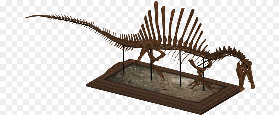 Spinosaurus Skeleton Zt2 Dinosaur Skeletons, Animal, Reptile Free Transparent Png