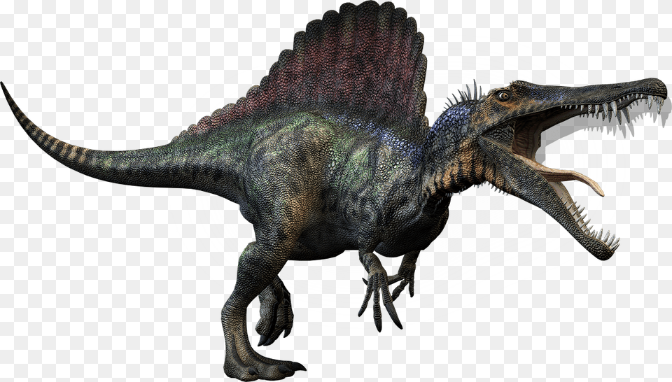 Spinosaurus T Rex Spinosaurus Dinosaurs, Animal, Dinosaur, Reptile, T-rex Png