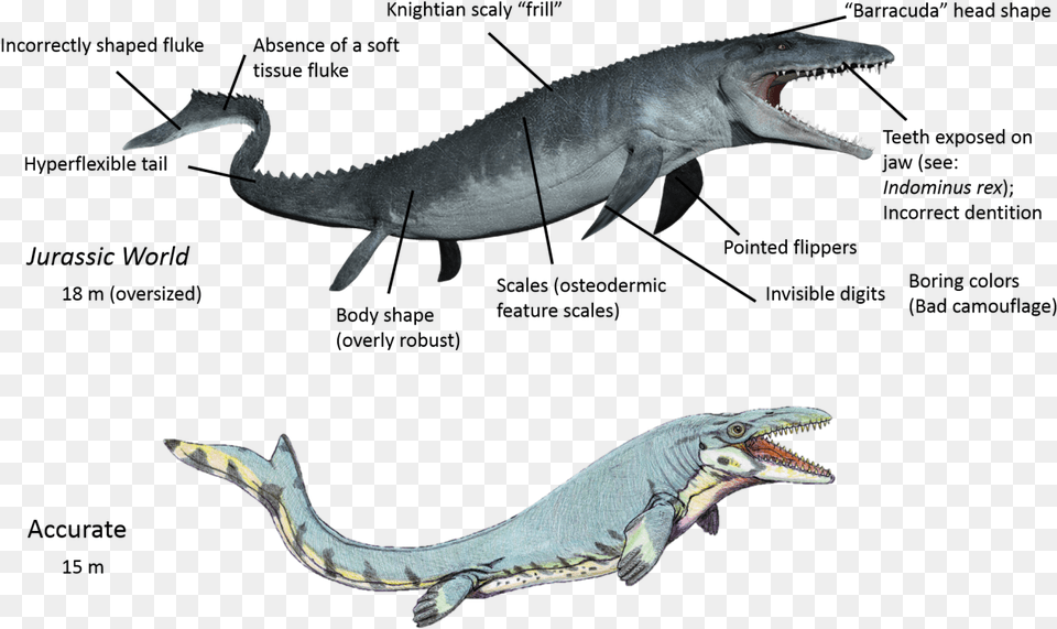 Spinosaurus The Fisher Jurassic World Mosasaurus, Animal, Dinosaur, Reptile Free Png