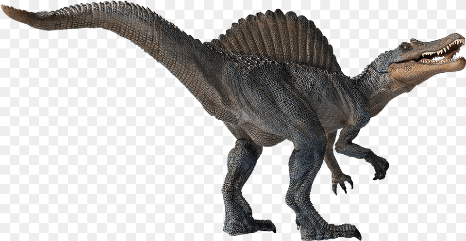 Spinosaurus Transparent Spinosaurus, Animal, Dinosaur, Reptile, T-rex Png Image