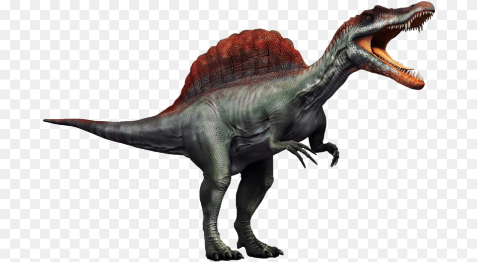 Spinosaurus Picture Spinosaurus, Animal, Dinosaur, Reptile, T-rex Free Transparent Png