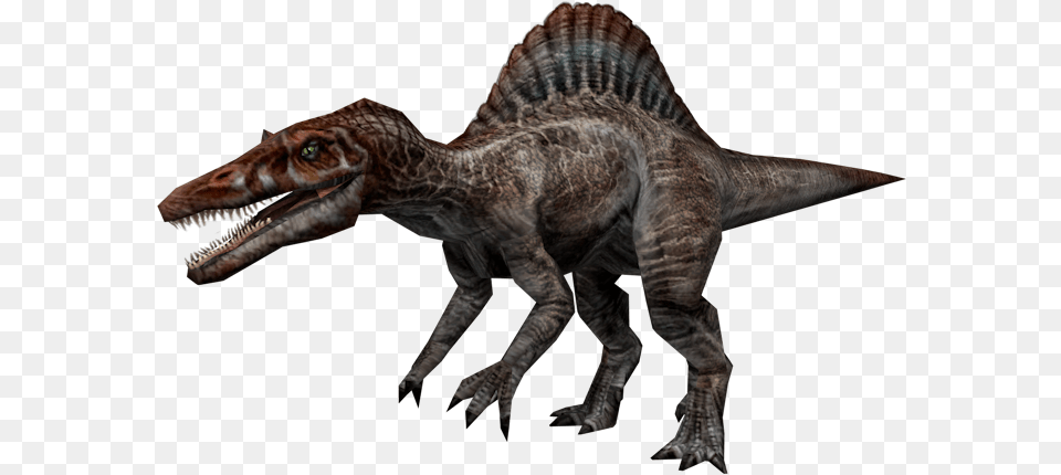 Spinosaurus Tyrannosaurus Velociraptor Dinosaur Spinosaurus Jurassic Park, Animal, Reptile, T-rex Free Png Download