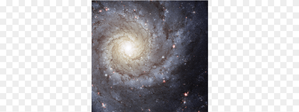 Spiral Galaxy M74 Wells Cathedral, Astronomy, Milky Way, Nature, Nebula Free Transparent Png