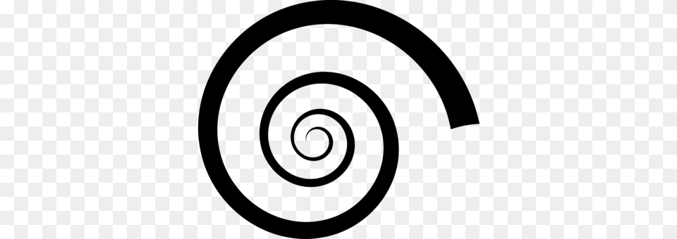 Spiral Nautiluses Drawing Seashell Shape, Gray Png Image