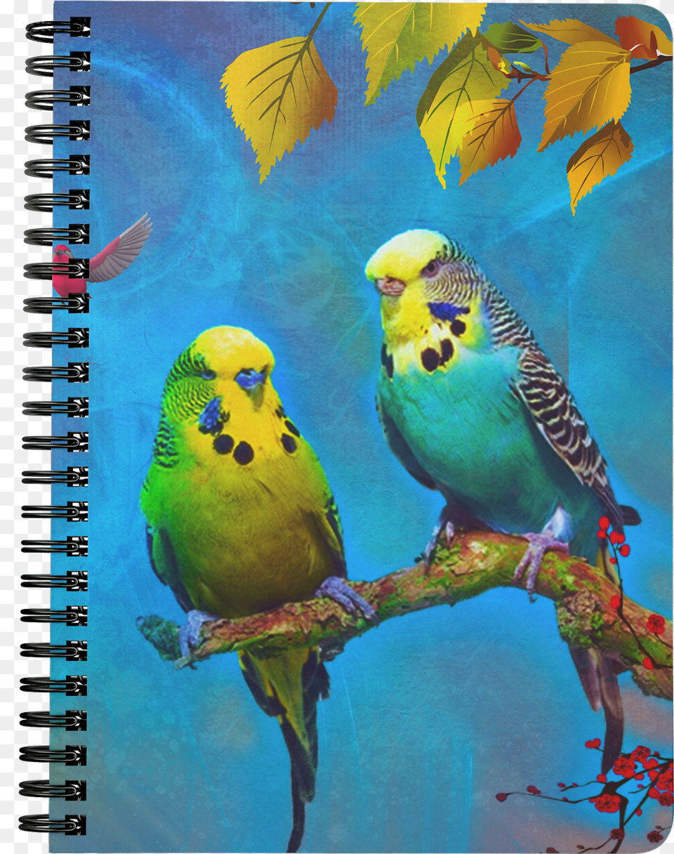 Spiral Notebook Png