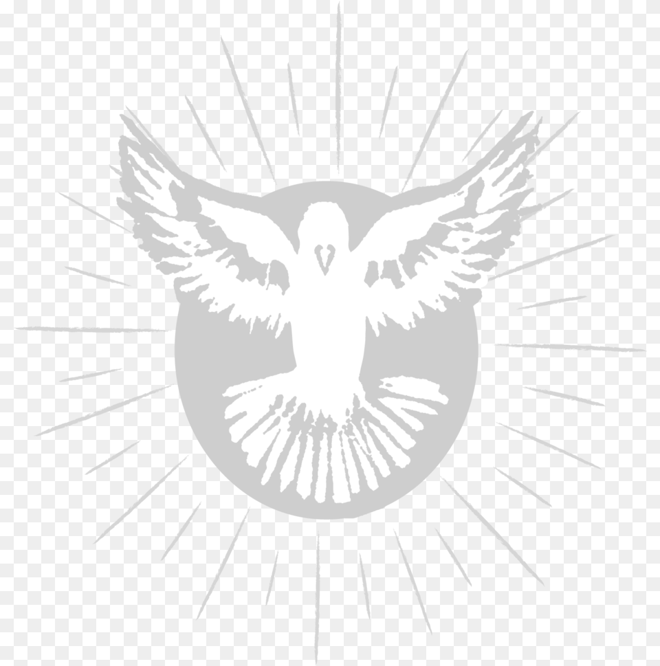 Spirit Dove Bald Eagle, Animal, Bird, Pigeon, Head Free Transparent Png