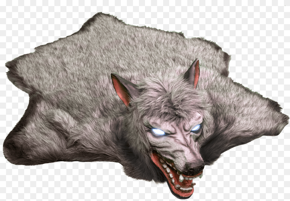 Spirit Halloween Werewolf Rug, Animal, Mammal, Wolf, Canine Free Png Download