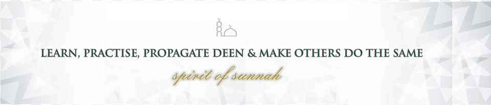 Spirit Of Sunnah Make A Wish Foundation, Text, Logo Free Transparent Png