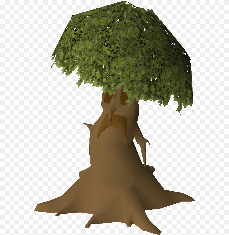 Spirit Tree Construction Osrs Wiki Spirit Tree Osrs, Plant, Wedding, Adult, Person Png Image