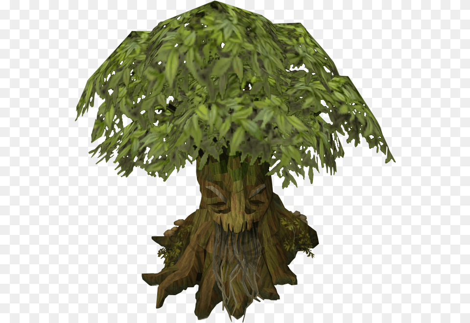 Spirit Tree The Runescape Wiki Rs3 Spirit Tree, Green, Potted Plant, Plant, Conifer Png Image