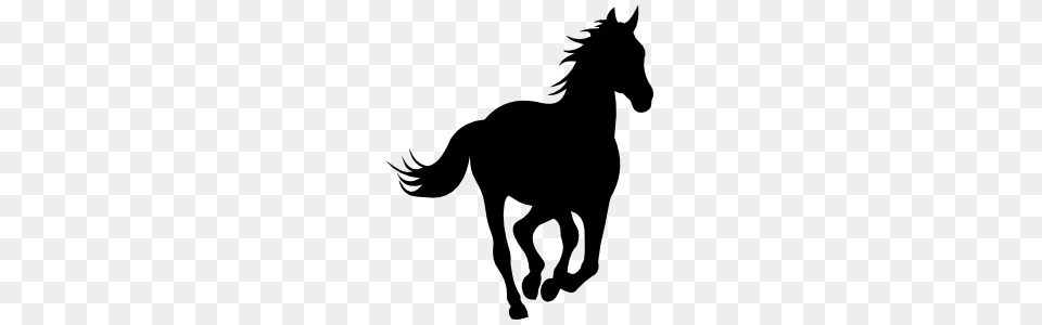 Spirited Horse Sticker, Silhouette, Animal, Mammal, Colt Horse Free Transparent Png