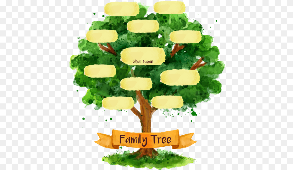 Spiritual Family Tree Illustration, Potted Plant, Plant, Vegetation, Green Free Png