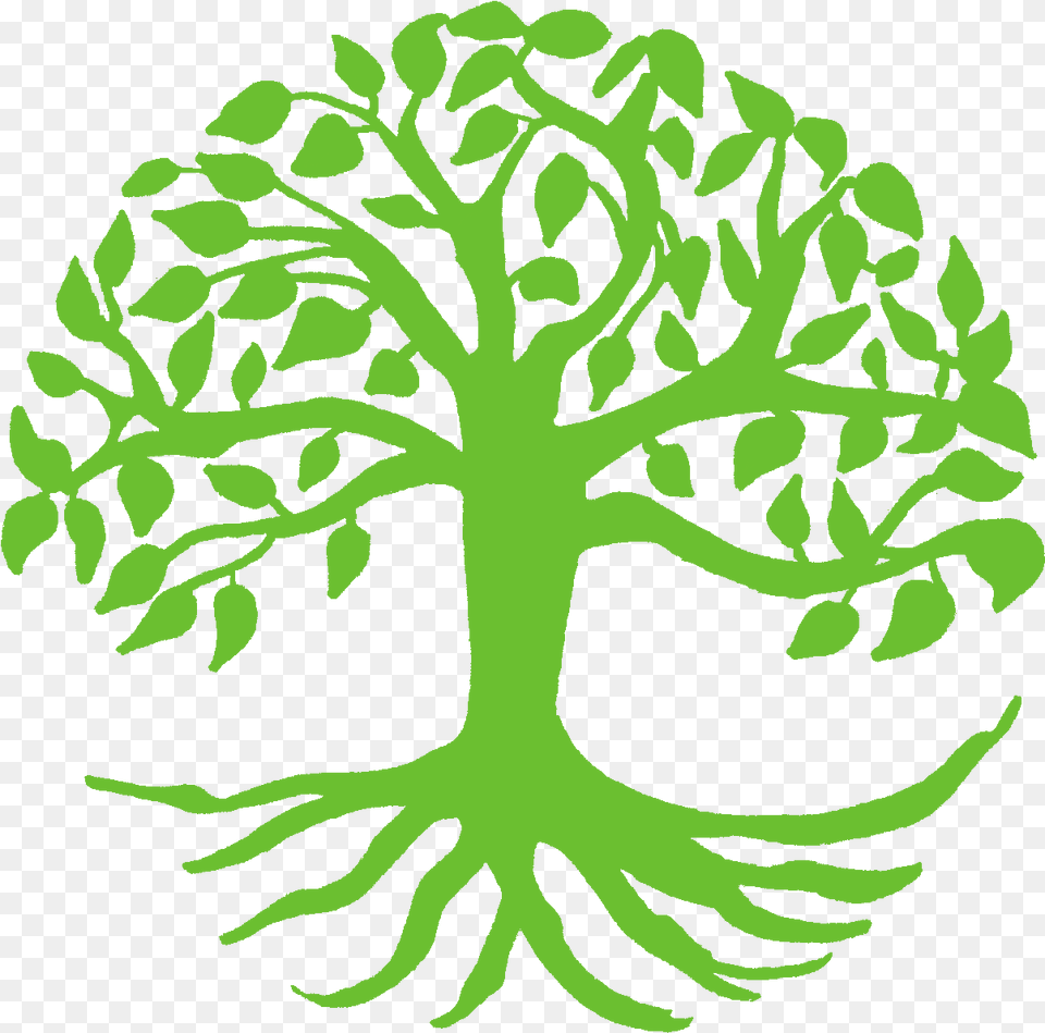 Spiritual Growth Clipart Tree Of Life Svg, Plant, Leaf, Potted Plant, Person Png