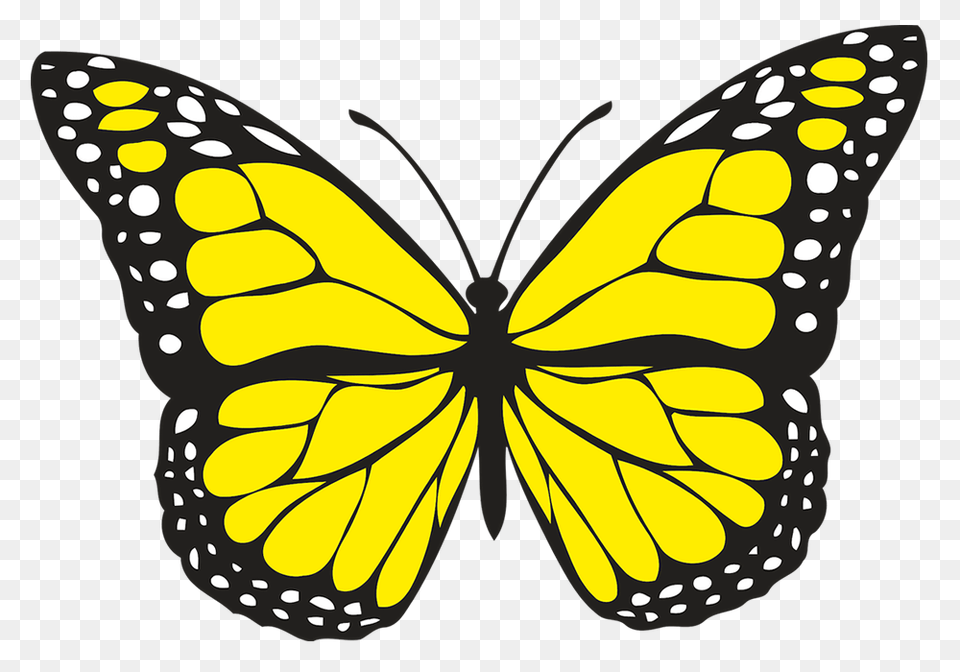 Spiritual Meaning Of Yellow Butterflies Hope And Guidance Good, Animal, Butterfly, Insect, Invertebrate Free Png