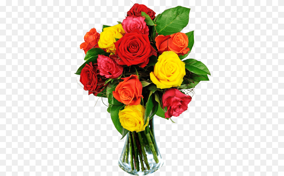 Splash Of Color Bouquet Roses Different Colors, Flower, Flower Arrangement, Flower Bouquet, Plant Png
