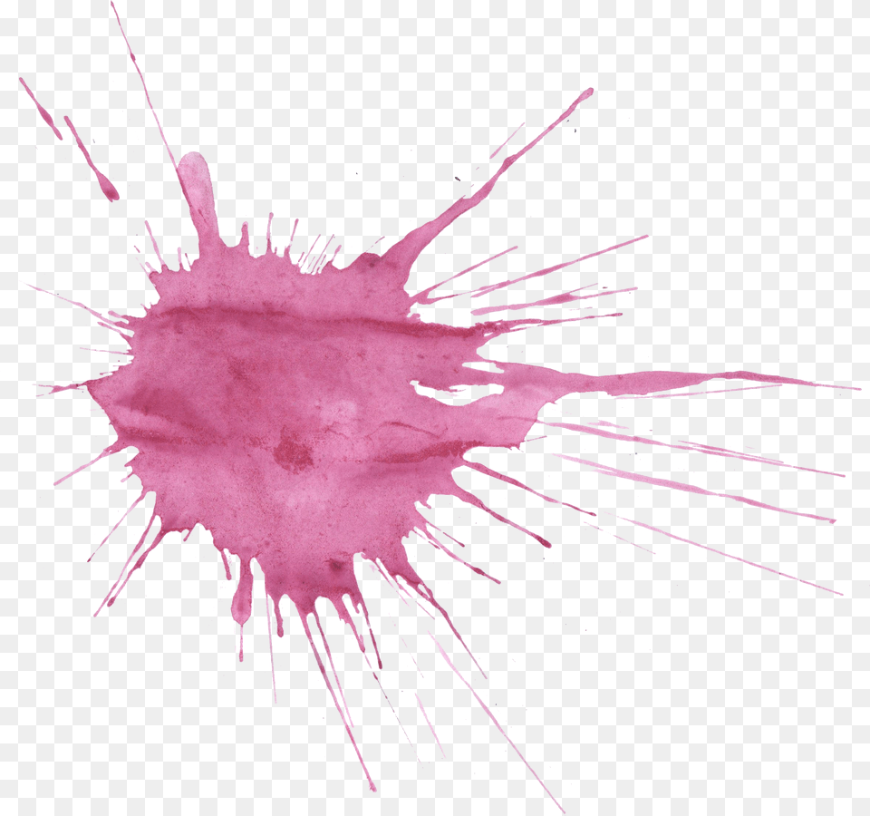 Splash Splatter Water Color, Stain, Person, Purple, Animal Free Transparent Png