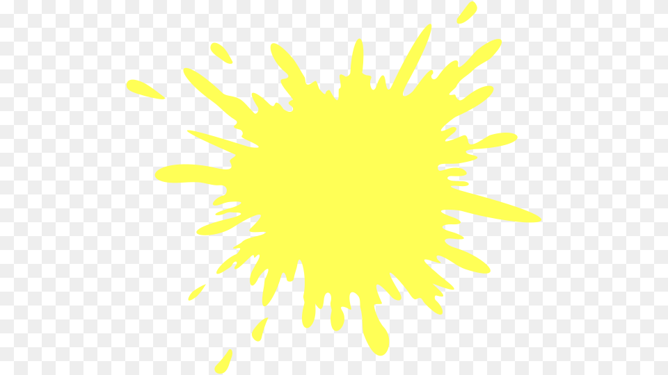 Splat Paint White, Flower, Plant, Pollen, Person Png Image