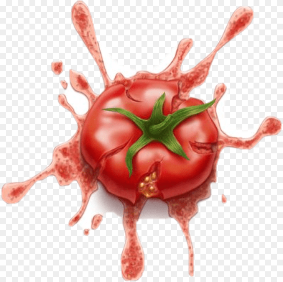 Splat The Tomatoe Tomato Splat, Vegetable, Food, Produce, Plant Png