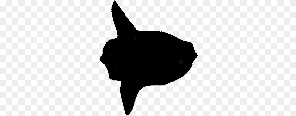 Splendid Mola Mola Mola Fish Silhouette, Animal, Cat, Mammal, Pet Free Png Download