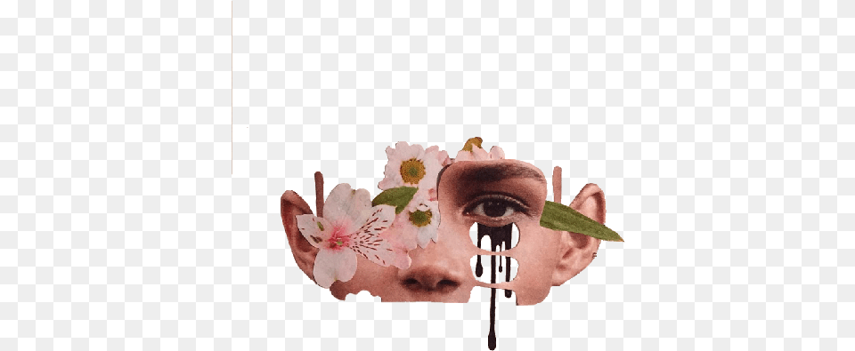 Splice Adam Hale, Flower, Plant, Petal, Head Png Image