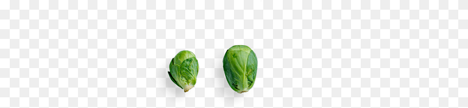 Split Pea, Food, Produce, Brussel Sprouts, Plant Free Png Download